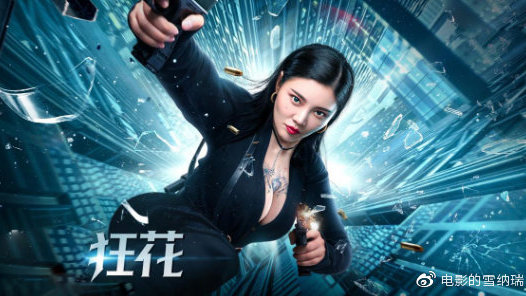 买个假的丹麦护照